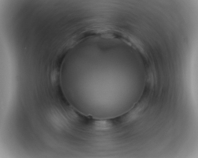 X0000114100281200910051451