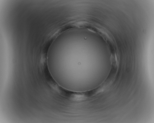 X0000114100284200910051451