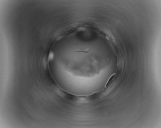 X0000114100285200910051451