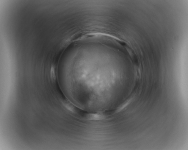 X0000114100286200910051451