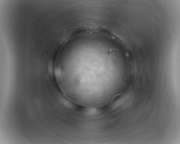 X0000114100287200910051451