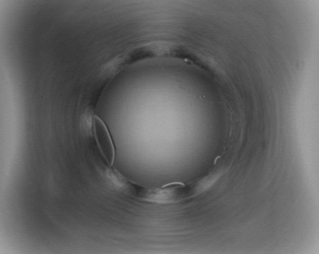 X0000114100288200910051451