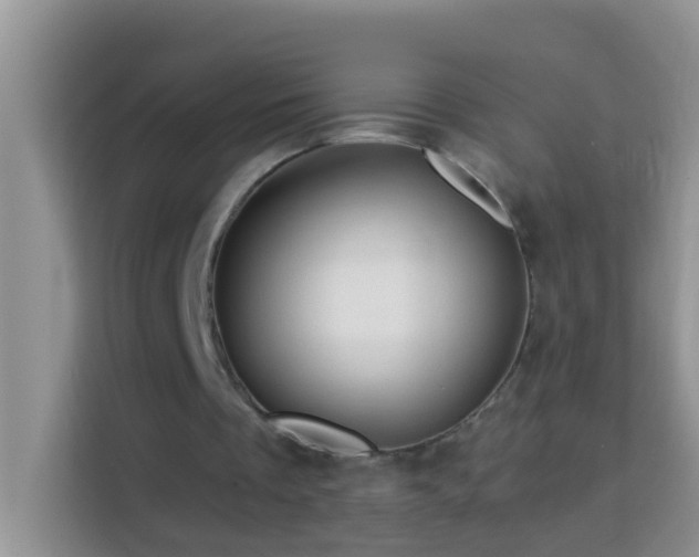 X0000114100289200910051450