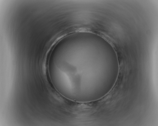 X0000114100290200910051450