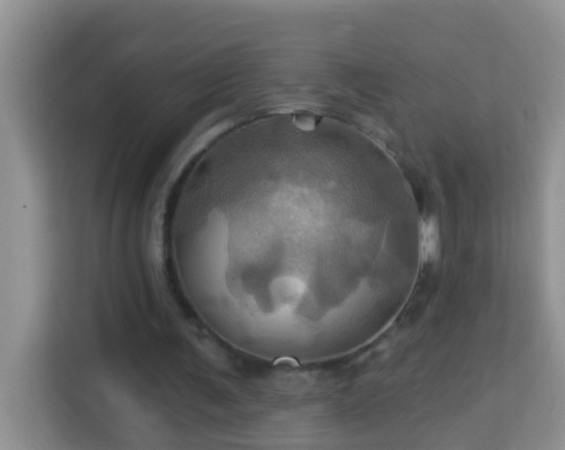 X0000114100291200910051450