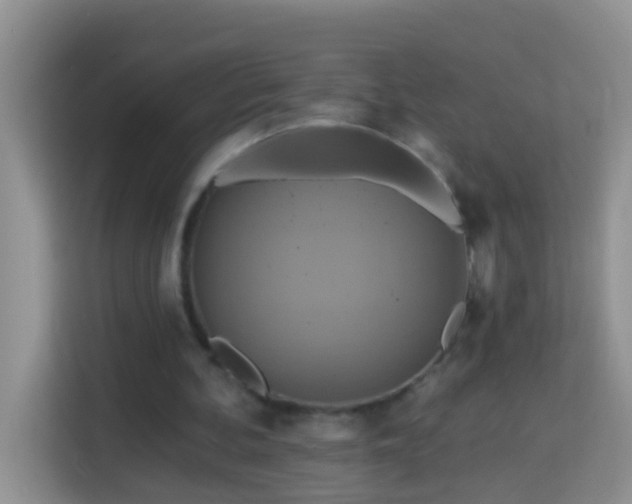 X0000114100292200910051450