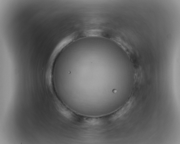 X0000114100293200910051450