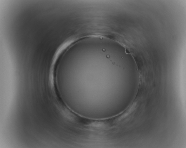 X0000114100294200910051450