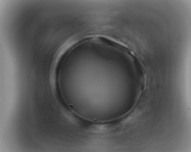 X0000114100295200910051450