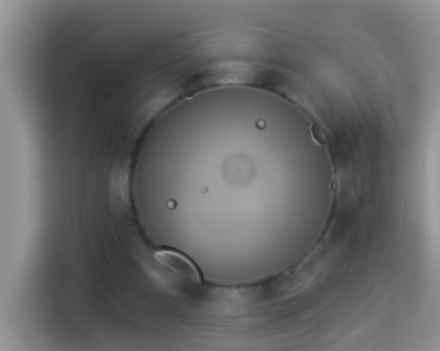 X0000114100297200910051450