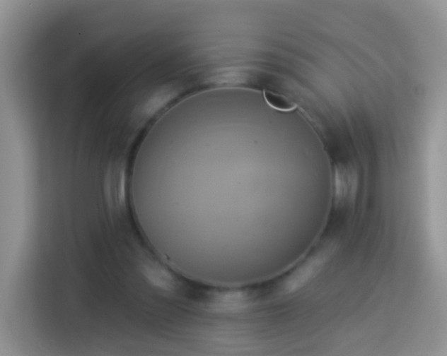 X0000114100301200910051450