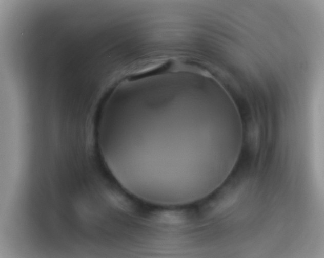 X0000114100303200910051450