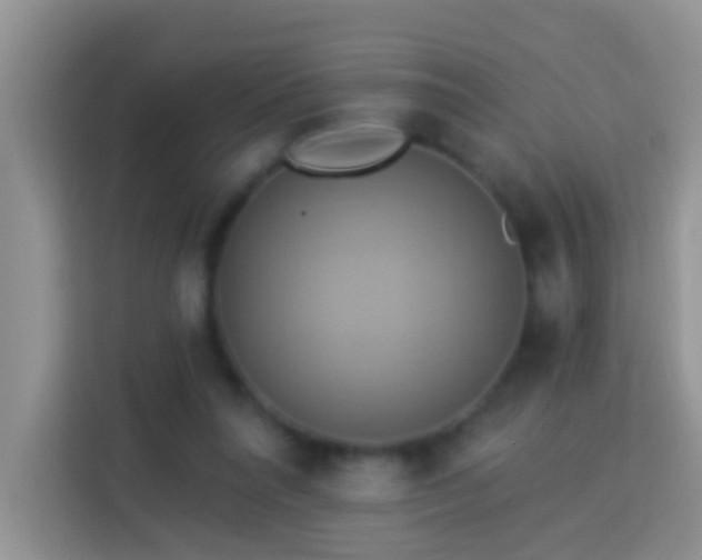 X0000114100304200910051450