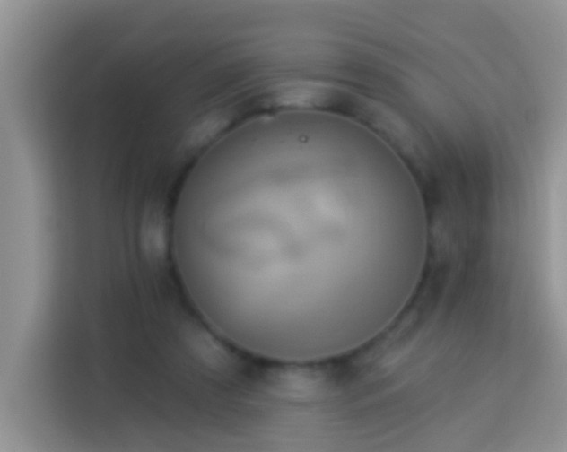 X0000114100305200910051450