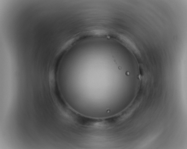 X0000114100306200910051450