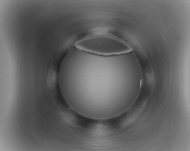 X0000114100308200910051450