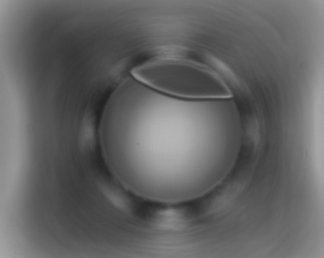 X0000114100312200910051450