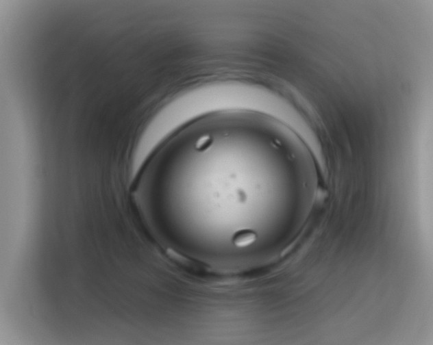 X0000114100313200910051450