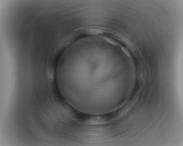 X0000114100315200910051450