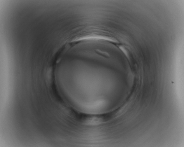 X0000114100319200910051450