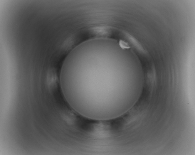 X0000114100320200910051450