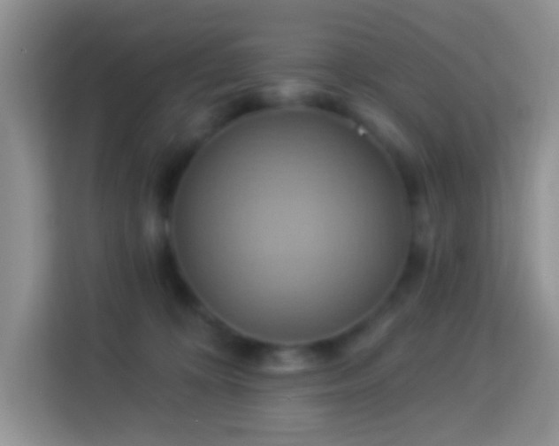 X0000114100324200910051450