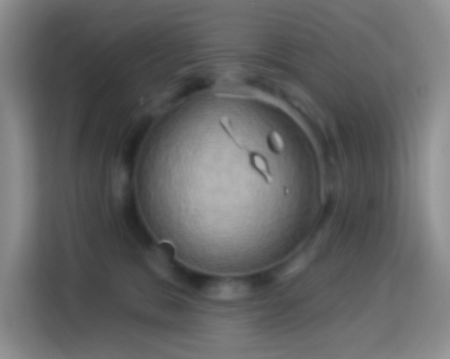 X0000114100327200910051450