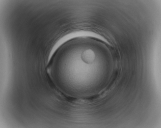 X0000114100328200910051450