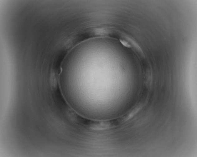 X0000114100329200910051450