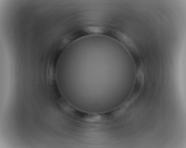 X0000114100330200910051450