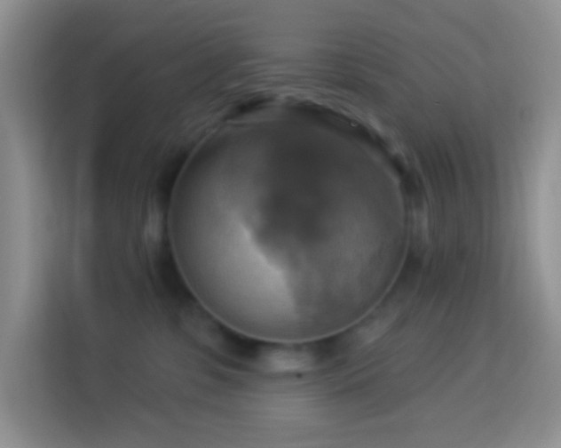 X0000114100331200910051450