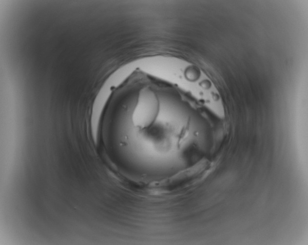 X0000114100333200910051450