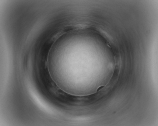 X0000114100334200910051450