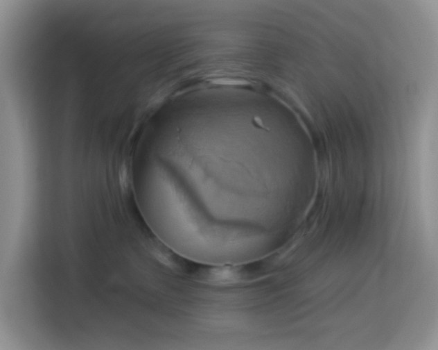 X0000114100335200910051450