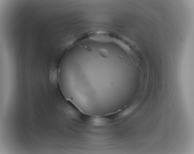 X0000114100336200910051450