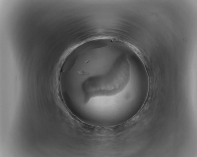 X0000114100337200910051449