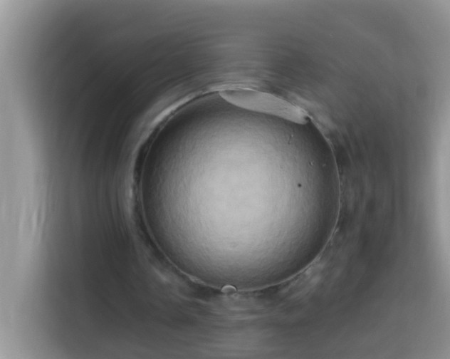 X0000114100338200910051449