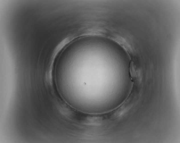 X0000114100340200910051449