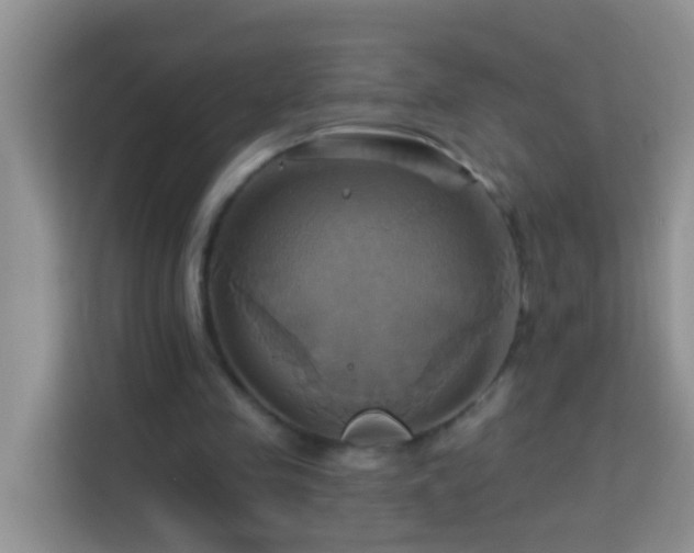 X0000114100341200910051449