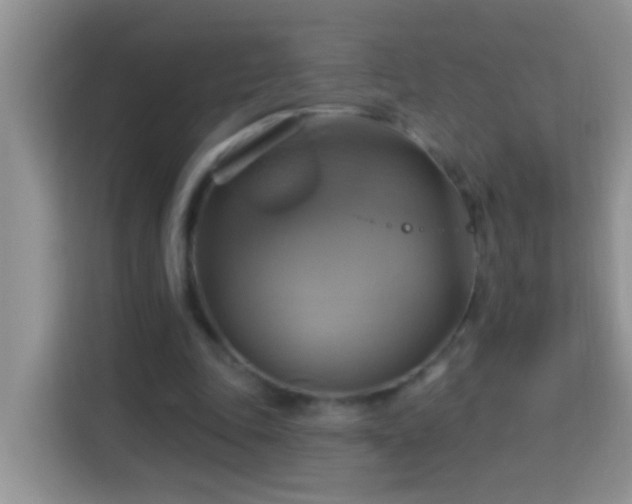 X0000114100343200910051449