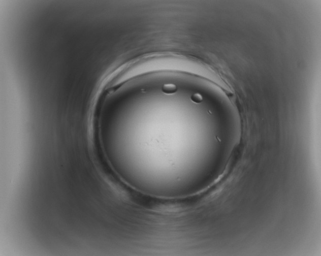 X0000114100344200910051449