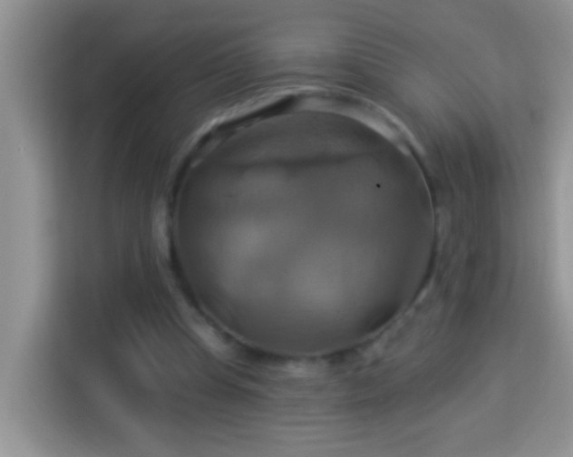 X0000114100345200910051449