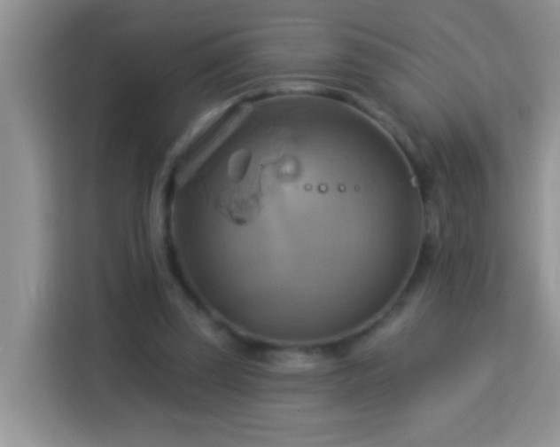 X0000114100347200910051449