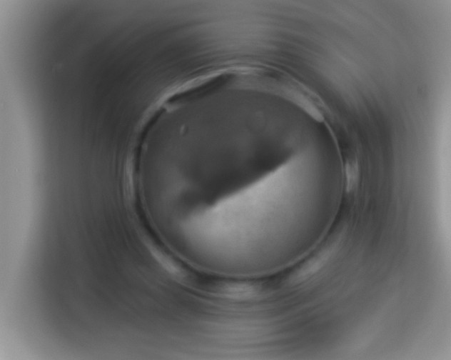 X0000114100349200910051449