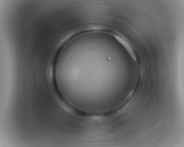 X0000114100350200910051449