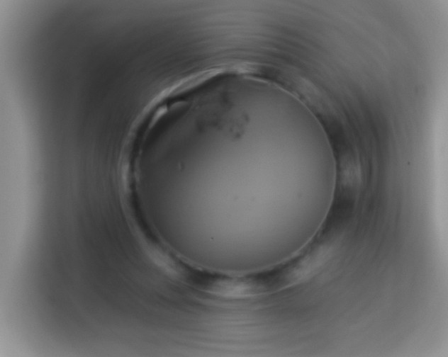 X0000114100351200910051449