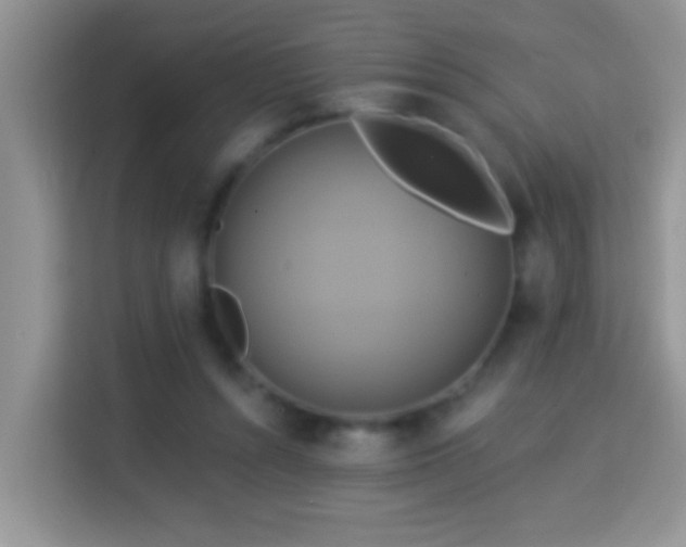 X0000114100352200910051449