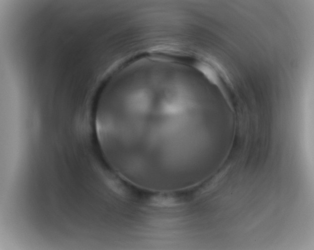 X0000114100354200910051449