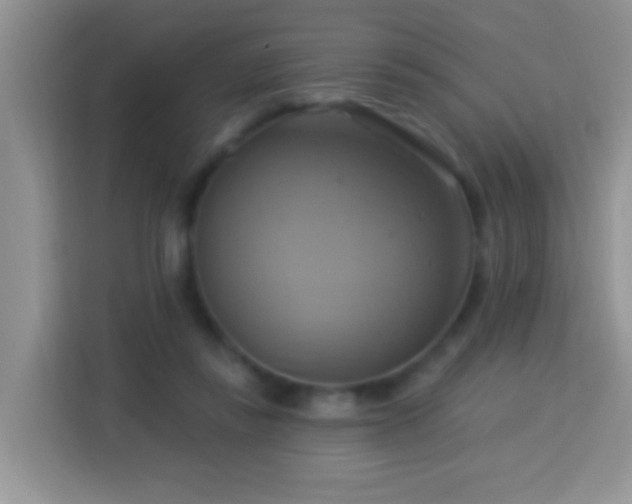 X0000114100355200910051449