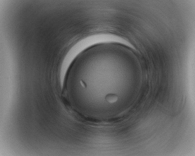 X0000114100356200910051449